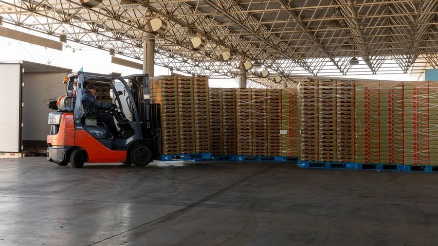 Logistics & Supply Chain